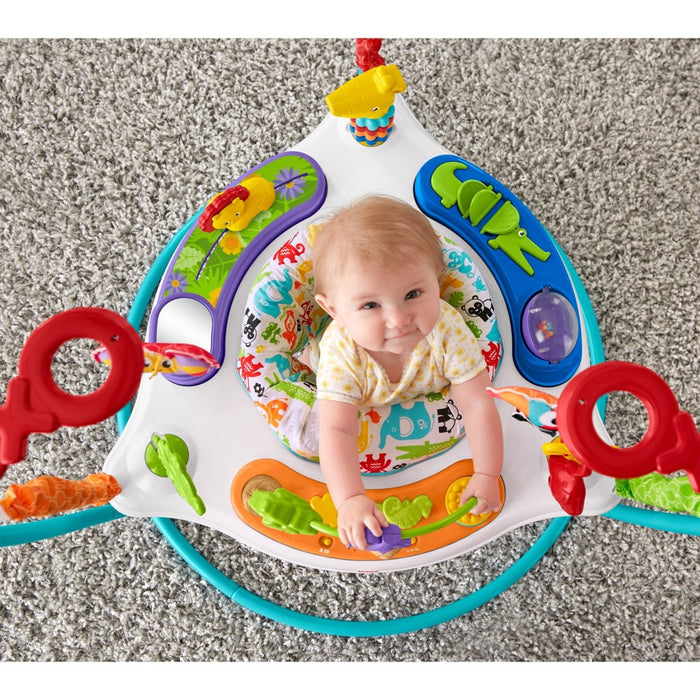 Fisher-Price Animal Activity Jumperoo