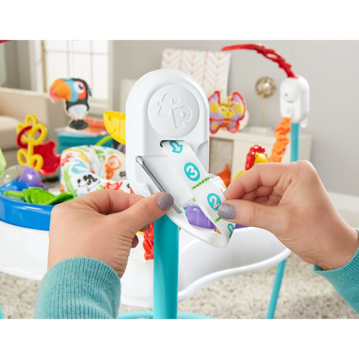 Fisher-Price Animal Activity Jumperoo