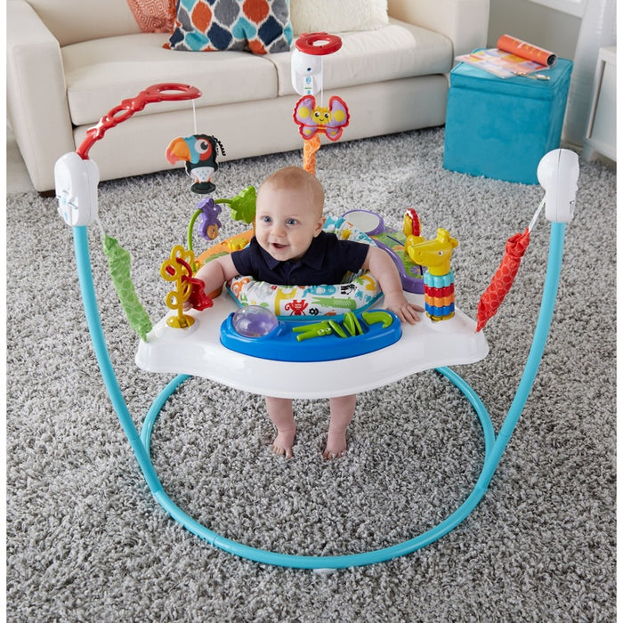 Fisher-Price Animal Activity Jumperoo