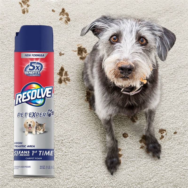 Resolve Clean & Fresh Pet Carpet Foam 22 oz