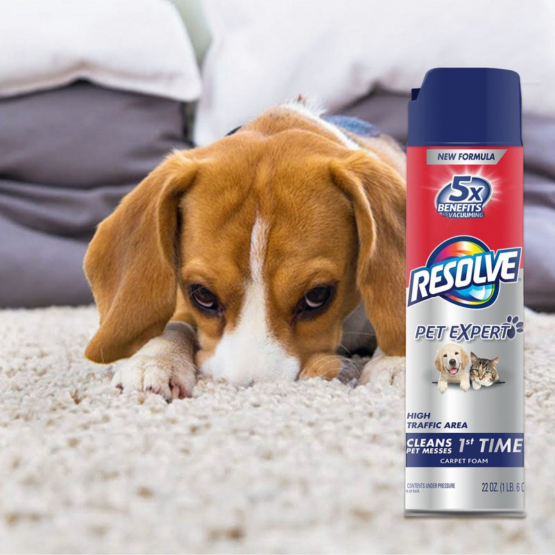 Resolve Clean & Fresh Pet Carpet Foam 22 oz