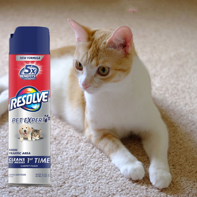 Resolve Clean & Fresh Pet Carpet Foam 22 oz