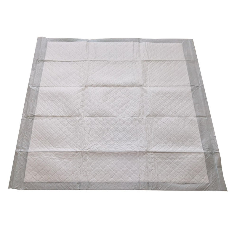 Puppy and Adult Dog Training Pads - XL - 100ct - Up&Up&*