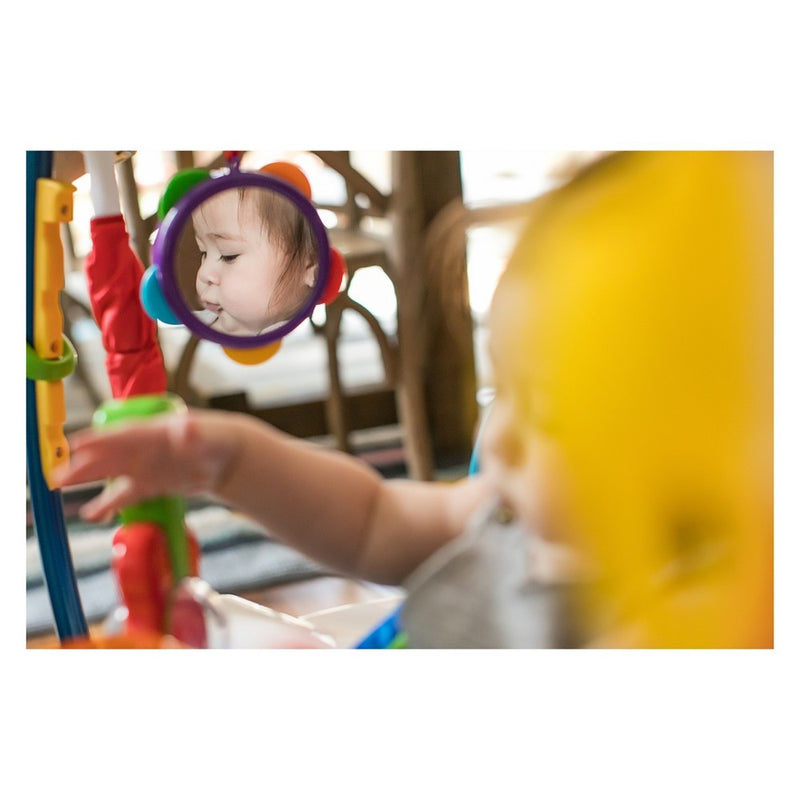 Baby Einstein Neighborhood Symphony 192250016921 (LOCAL PICKUP ONLY)