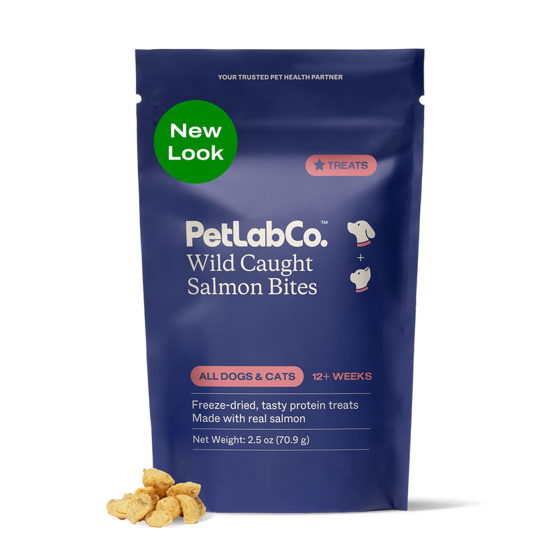 Petlab Co. Wild Caught Salmon Bites For Dogs, Freeze-Dried