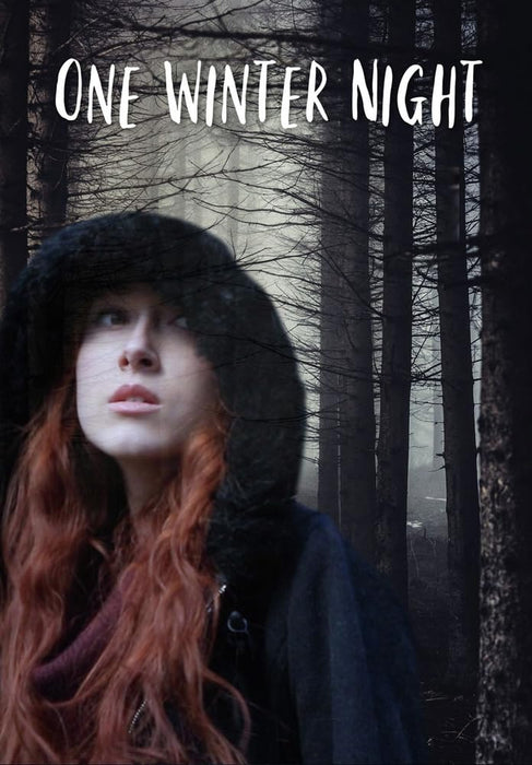 One Winter Night [DVD] *ADD 3 TO YOUR CART & 1 IS FREE!*