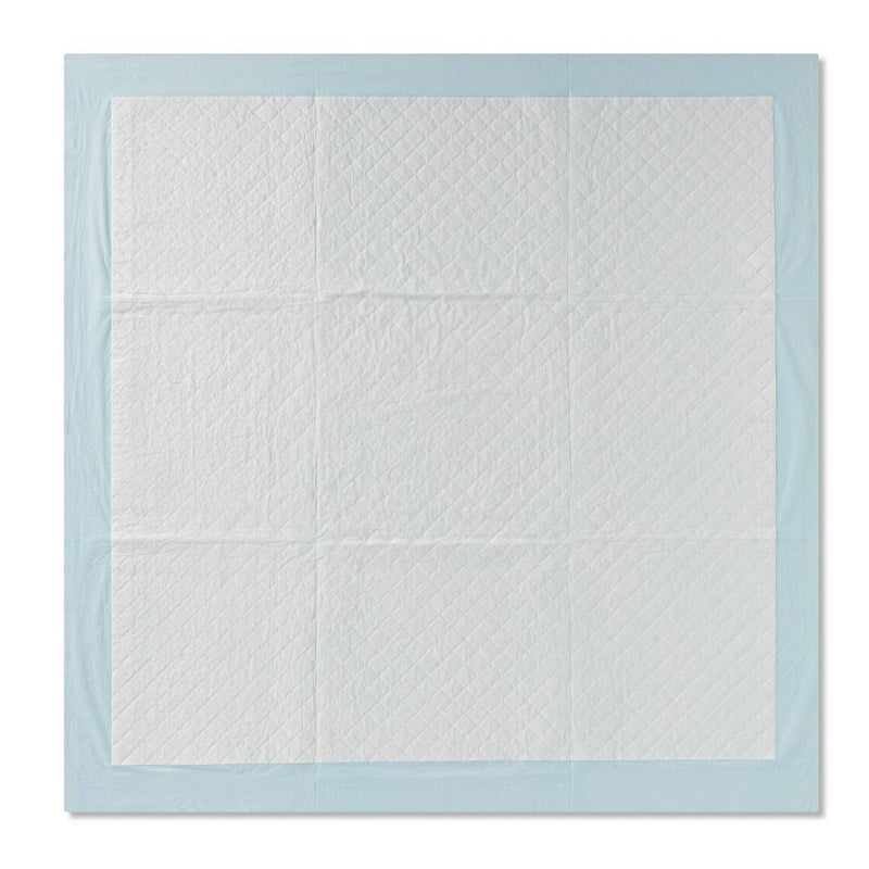 Puppy & Adult Dog Training Pads - 40ct - XXL - up & up