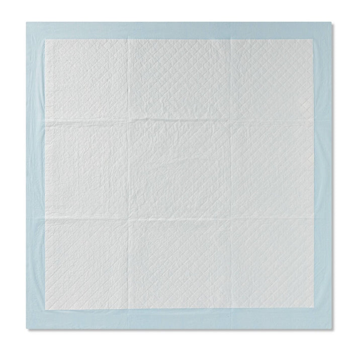 Puppy & Adult Dog Training Pads - 40ct - XXL - up & up