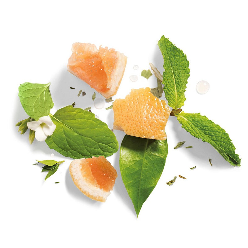 Herbal Essences Bio:Renew Naked Volume White Grapefruit & Mosa Mint Shampoo - 13.5 fl oz