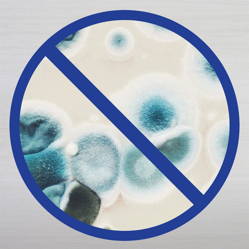 Lysol Disinfectant Crisp Linen Spray - 19oz