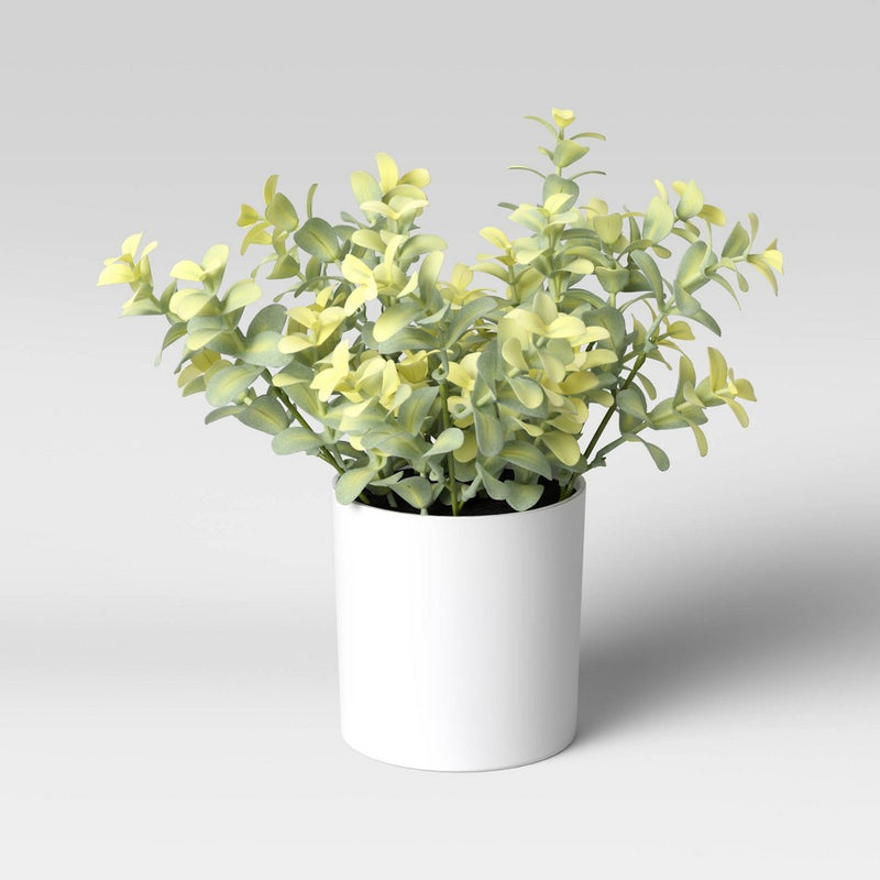 9" x 6" Artificial Boxwood Arrangement - Threshold