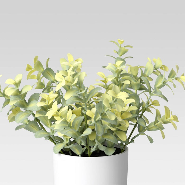 9" x 6" Artificial Boxwood Arrangement - Threshold