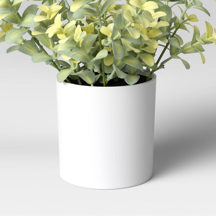 9" x 6" Artificial Boxwood Arrangement - Threshold