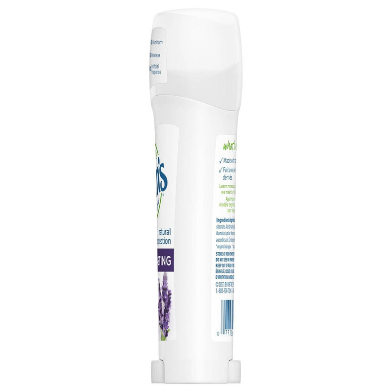 Tom's of Maine Long Lasting Deodorant Lavender - 2.25oz