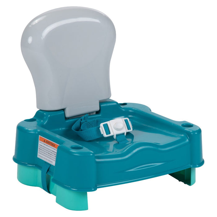 Safety 1st Sit, Snack & Go Feeding Booster Seat - Green