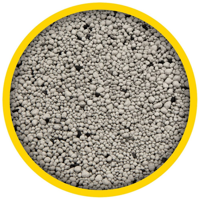 Purina Tidy Cats Free & Clean Unscented Multi-Cat Clumping Litter - 35lbs* (LOCAL PICKUP ONLY)
