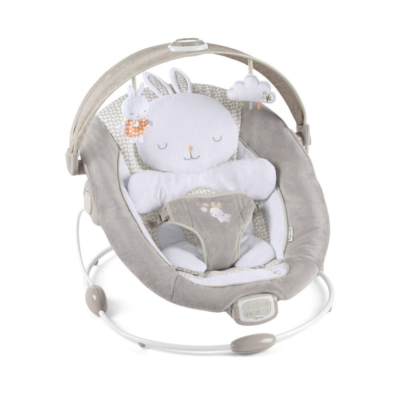 Ingenuity InLighten Twinkle Tails Bouncer (LOCAL PICKUP ONLY)