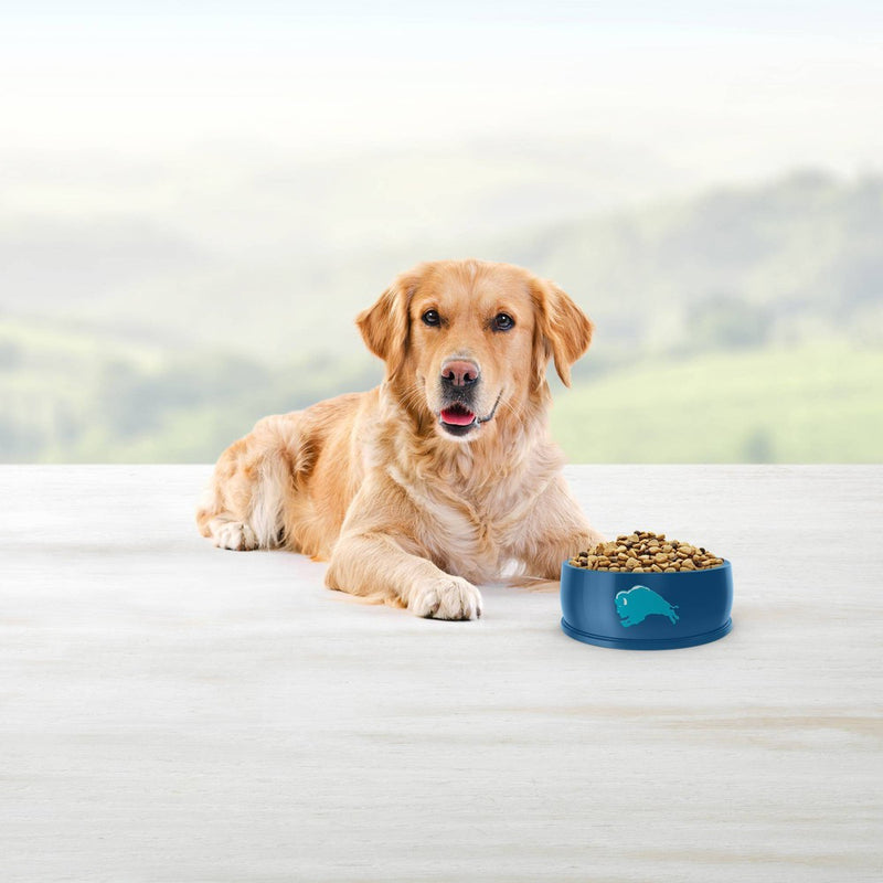 Blue Buffalo Life Protection Chicken & Brown Rice Recipe Adult Dry Dog Food - 15lbs (LOCAL PICKUP ONLY)