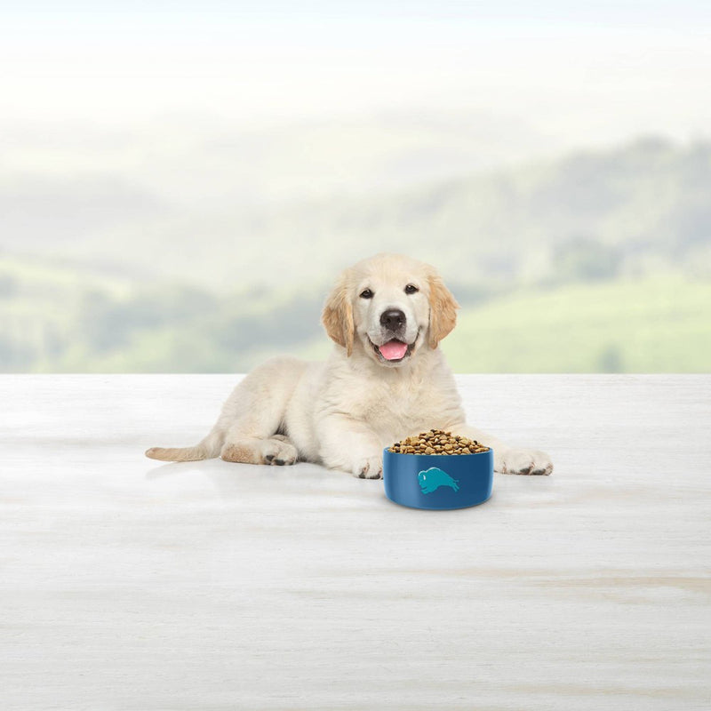 Blue Buffalo Life Protection Chicken & Brown Rice Recipe Puppy Dry Dog Food - 15lbs (LOCAL PICKUP ONLY)