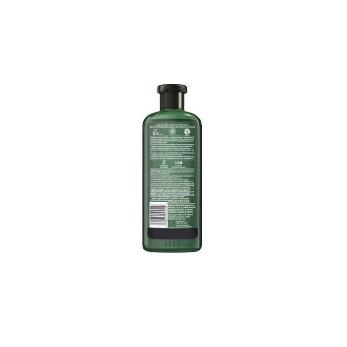 Herbal Essences bio:renew Aloe + Eucalyptus Sulfate Free Shampoo Scalp Balance - 13.5 fl oz