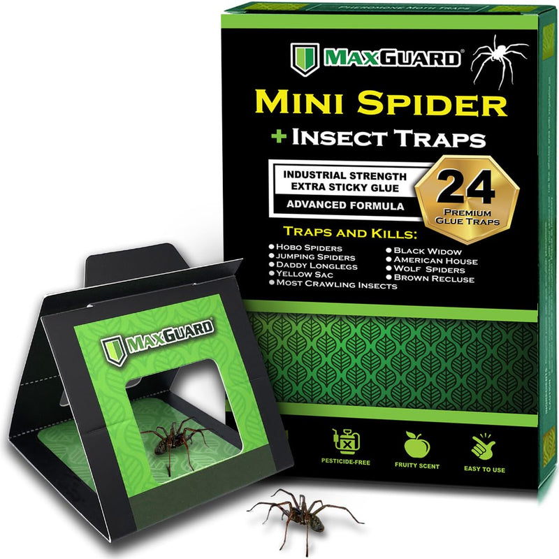 Maxguard Mini Spider + Insect Traps (24 Pcs Box Trap) | Non-Toxic Extra Sticky Glue Traps | Trap And Kill Hobo Spiders, Black Widow Spiders, Brown Recluse Spiders And Crawling Bugs |