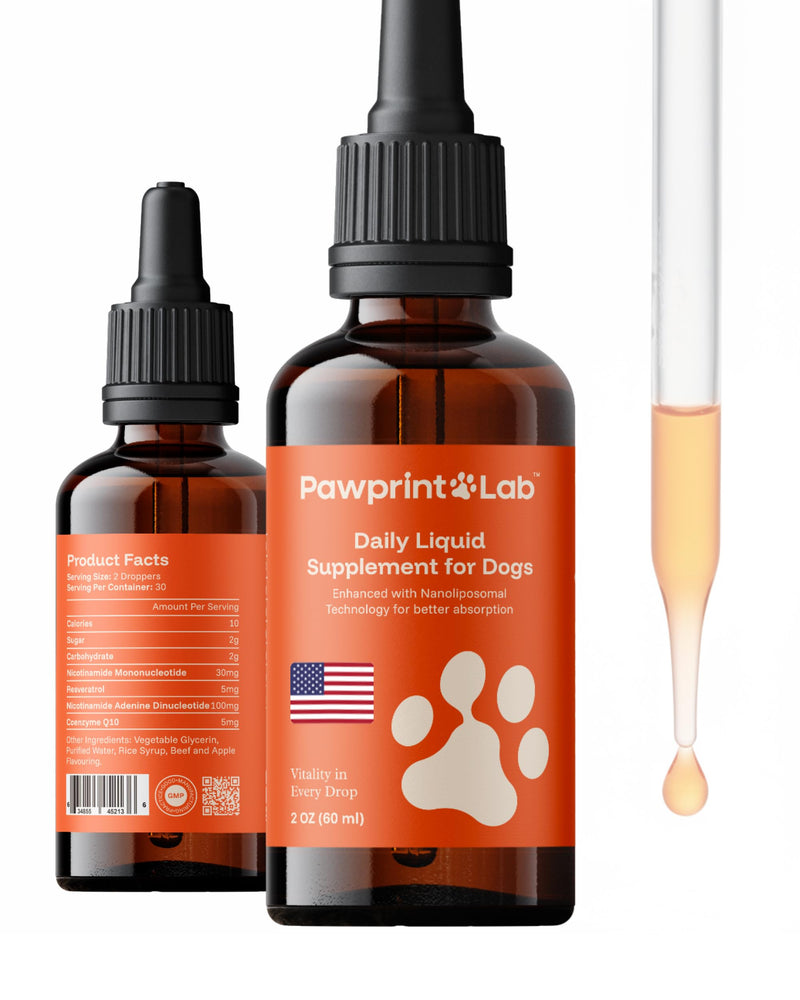 PAWPRINT Lab Dog Longevity Supplement NAD+ & NMN - Joint Health, Vitality & Healthy Aging - Nano Liposomal Technology - Easy To Give Every Day - Better Absorption - Resveratrol - Coq10