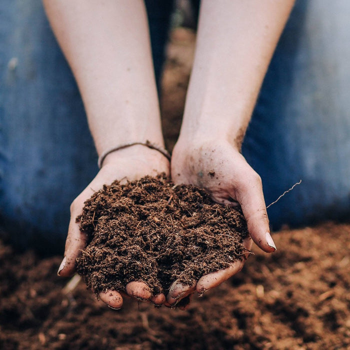 Good Dirt 8qt All Purpose Potting Mix