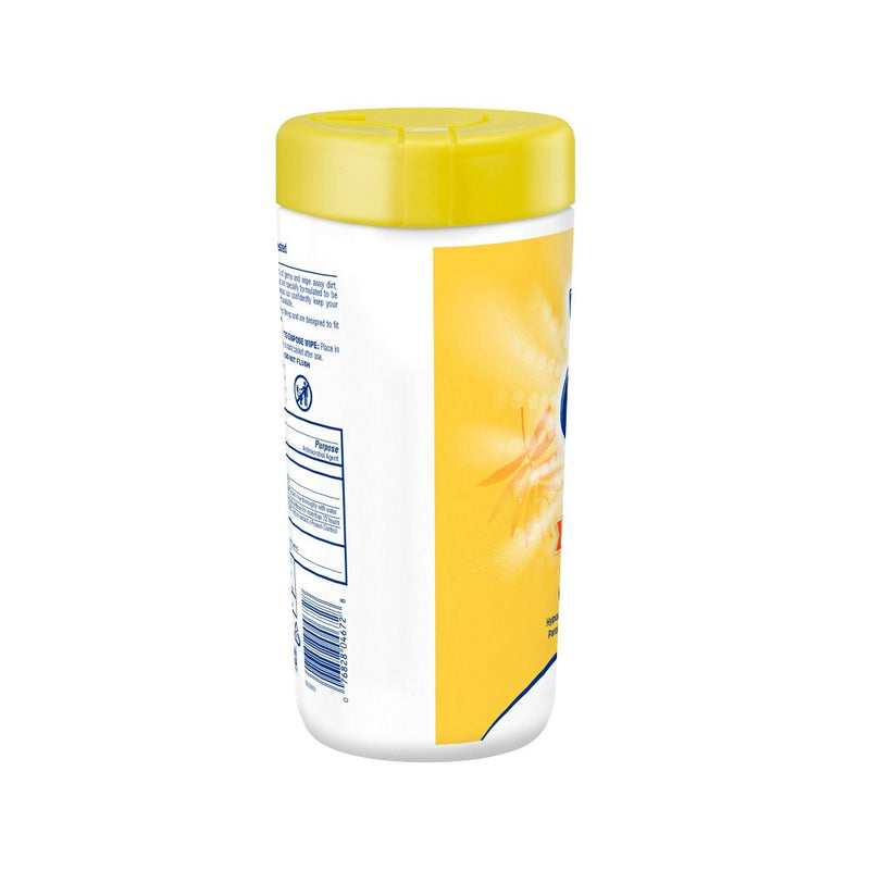 Wet Ones Antibacterial Hand Wipes Canister - Tropical Splash - 40ct
