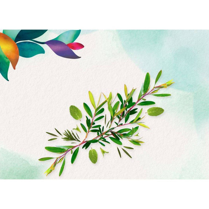 Herbal Essences Clarifying Shampoo Tea Tree - 29.2 fl oz