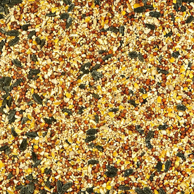 Kaytee 5lb All American Wild Bird Food