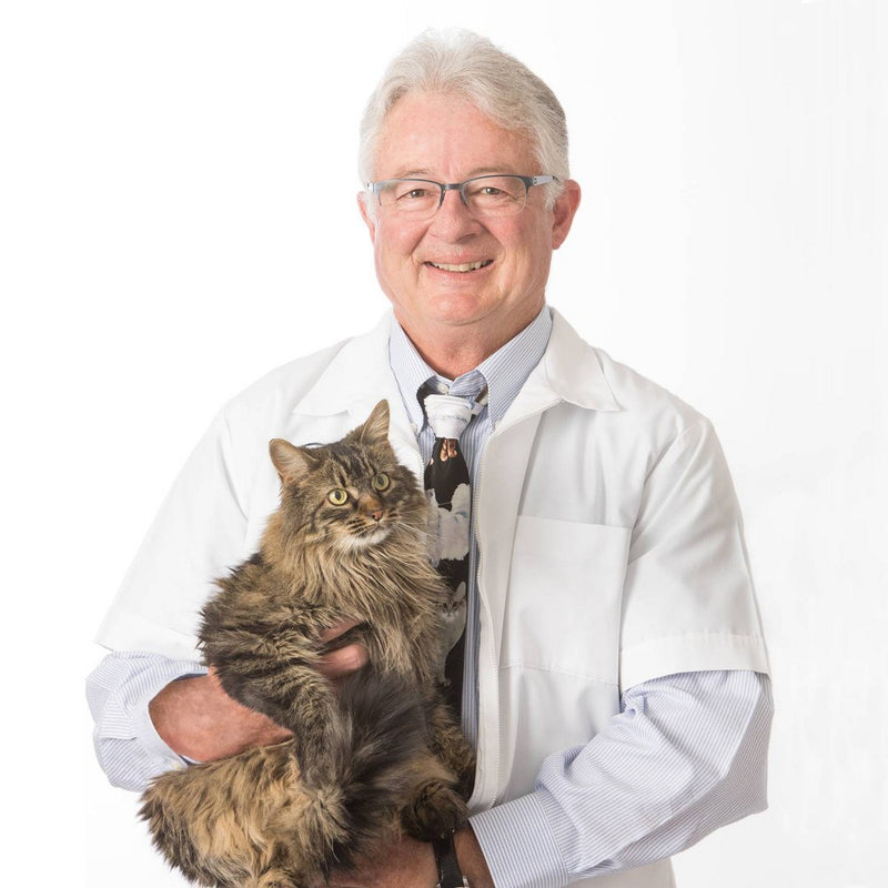 Dr. Elsey's - Ultra Unscented Cat Litter - 35lb (LOCAL PICKUP ONLY)