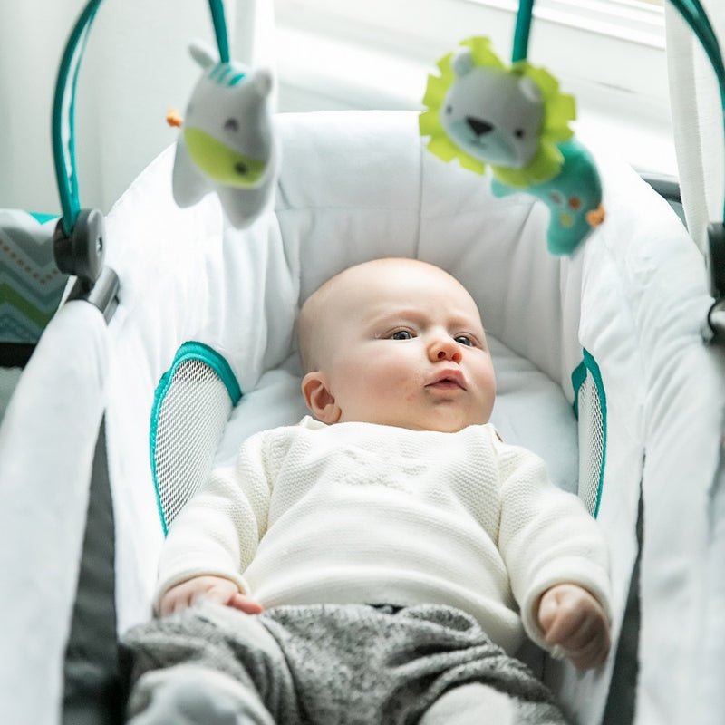 Ingenuity Smart and Simple Playard - Ridgedale (LOCAL PICKUP ONLY)