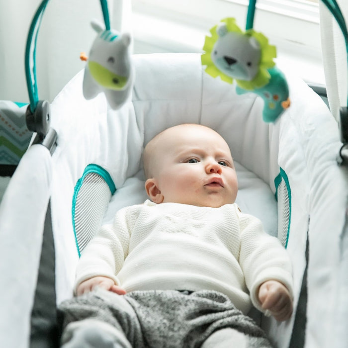 Ingenuity Smart and Simple Playard - Ridgedale (LOCAL PICKUP ONLY)