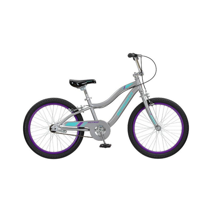 Schwinn Astrid 20" Kids' Bike - Gray (LOCAL PICKUP ONLY)