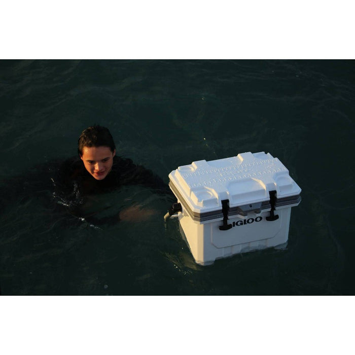 Igloo IMX Hard Sided 24qt Portable Cooler - White (LOCAL PICKUP ONLY)