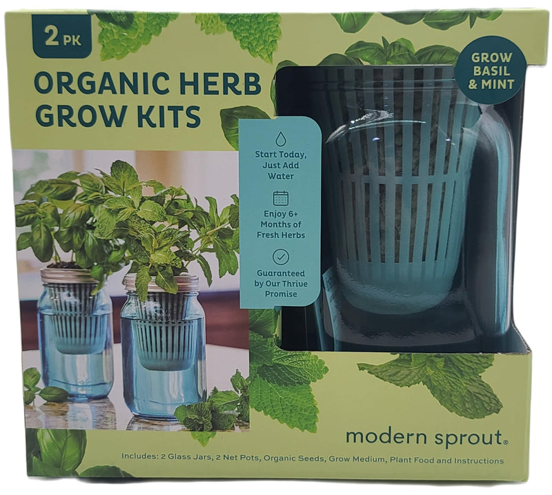 Organic Herbs In Garden Jars By Modern Sprout