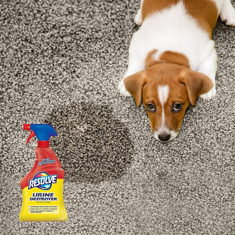 Resolve Pet Stain Urine Destroyer - 32 fl oz