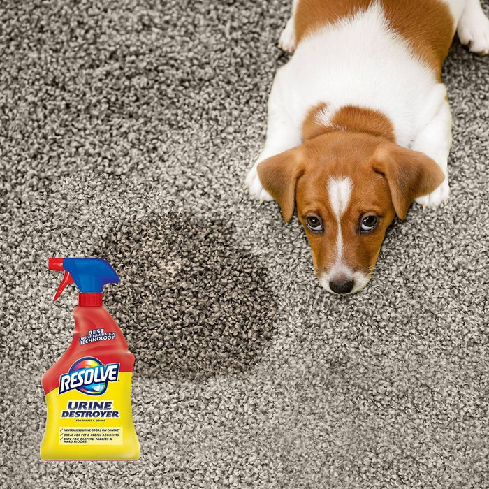 Resolve Pet Stain Urine Destroyer - 32 fl oz