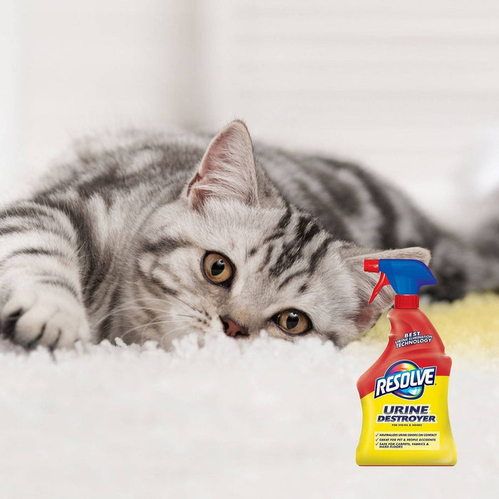 Resolve Pet Stain Urine Destroyer - 32 fl oz