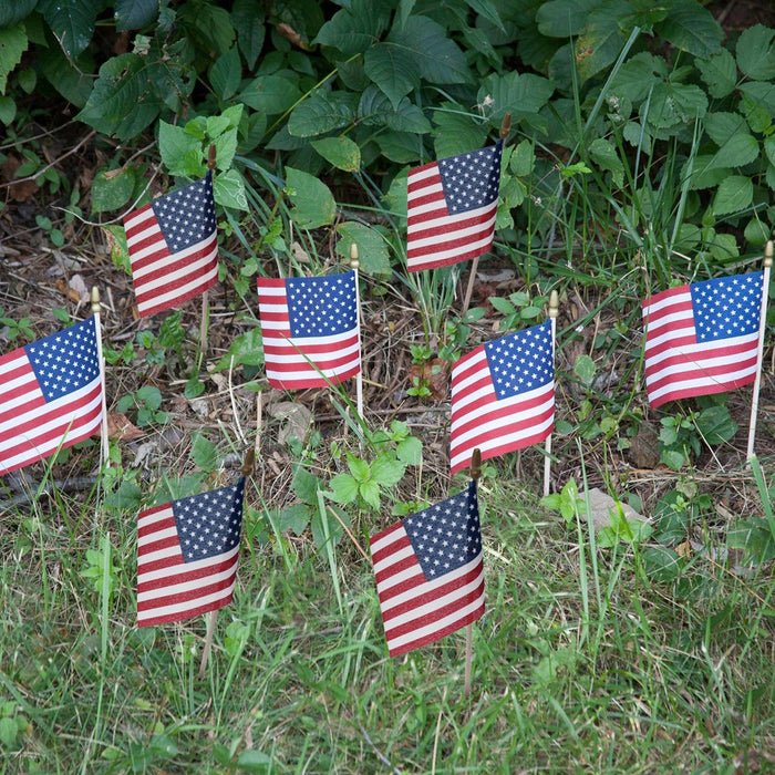 4"x6" 8pc Stick Flags