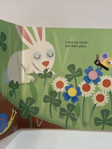 Children’s Board Book - Tales from Nature - RABBIT - ISBN 9780711252776