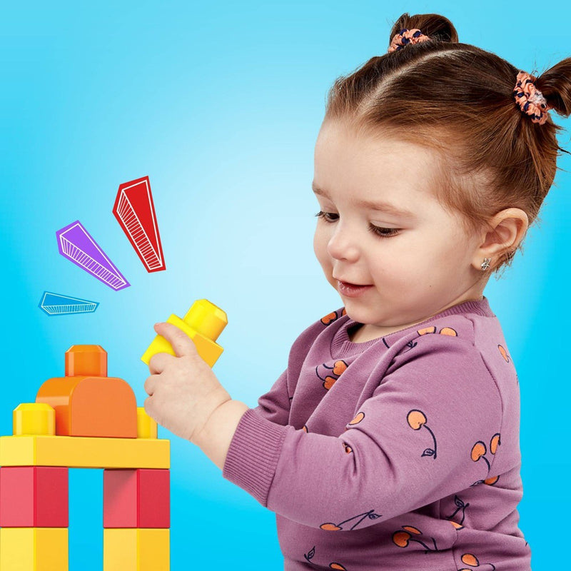 Mega Bloks First Builders Big Building Bag - Classic 80pc