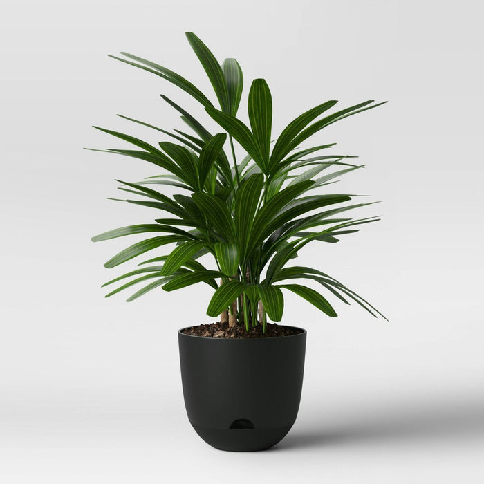 16" Self Watering Planter Black - Room Essentials