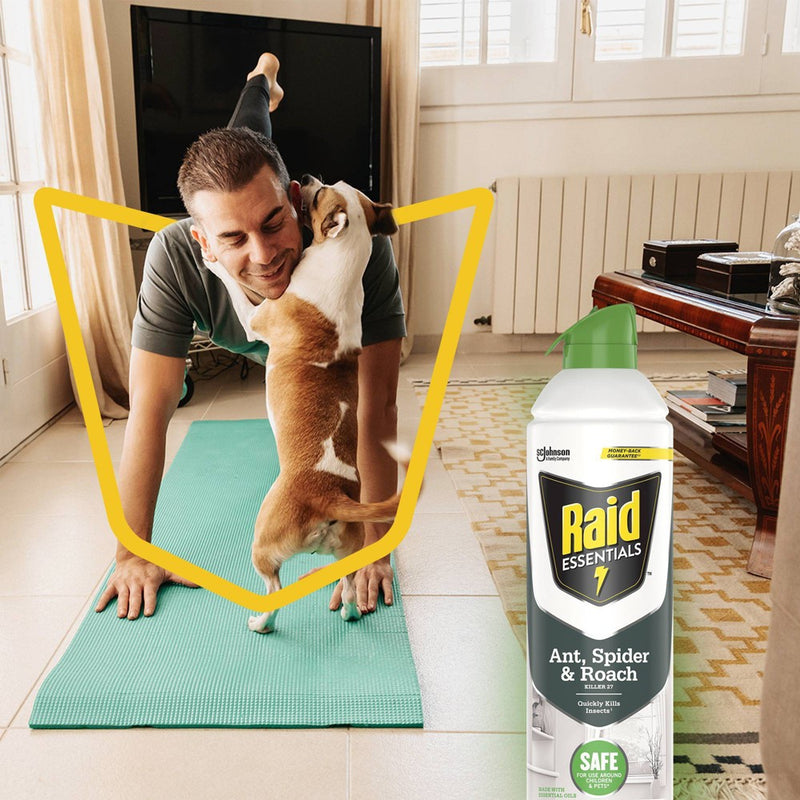 Raid Essentials Ant, Spider & Roach Killer Aerosol - 10oz