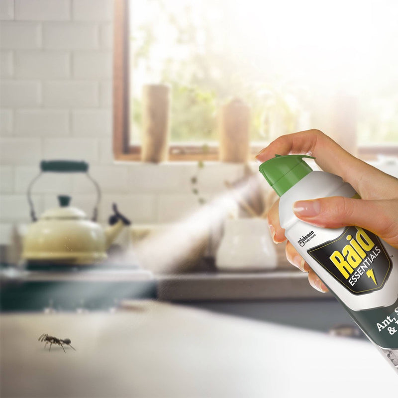 Raid Essentials Ant, Spider & Roach Killer Aerosol - 10oz