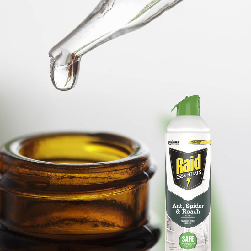 Raid Essentials Ant, Spider & Roach Killer Aerosol - 10oz