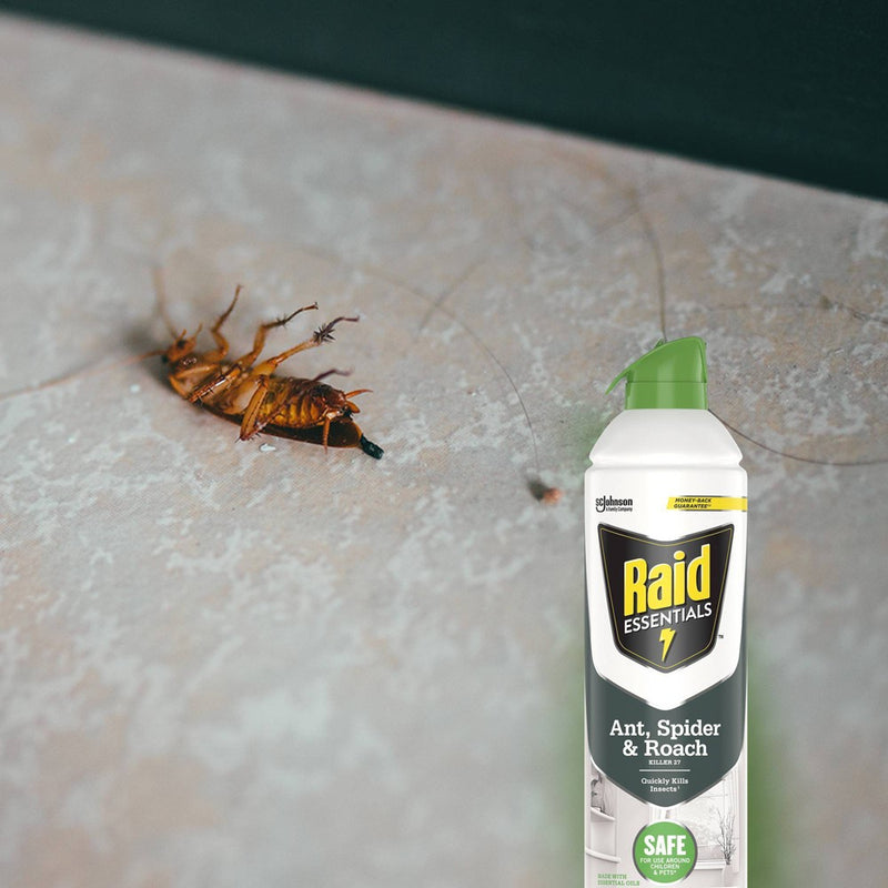 Raid Essentials Ant, Spider & Roach Killer Aerosol - 10oz