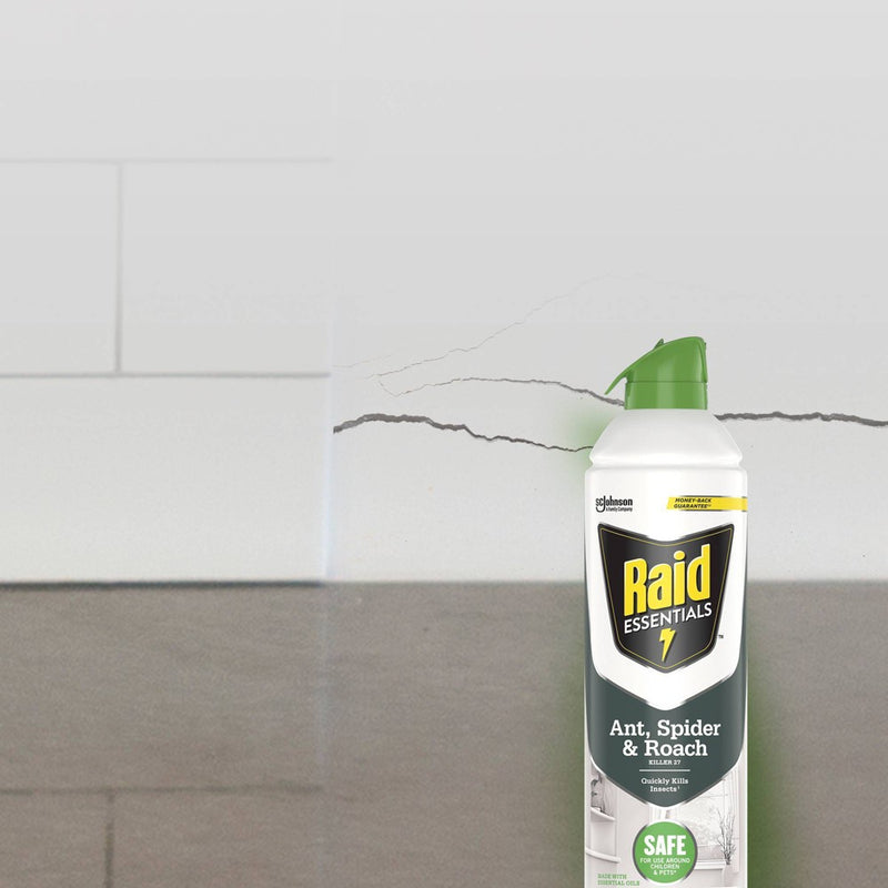 Raid Essentials Ant, Spider & Roach Killer Aerosol - 10oz