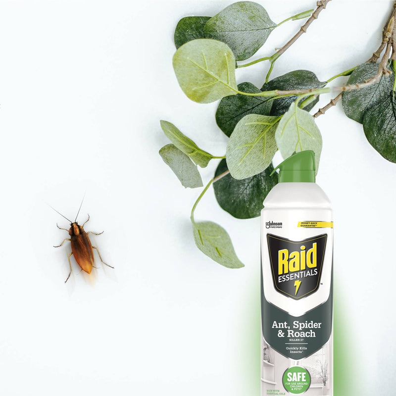 Raid Essentials Ant, Spider & Roach Killer Aerosol - 10oz