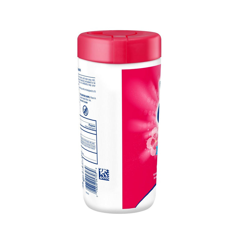 Wet Ones Antibacterial Hand Wipes Canister - Fresh Scent - 40ct